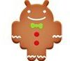 Download Android 2.3 Gingerbread GApps