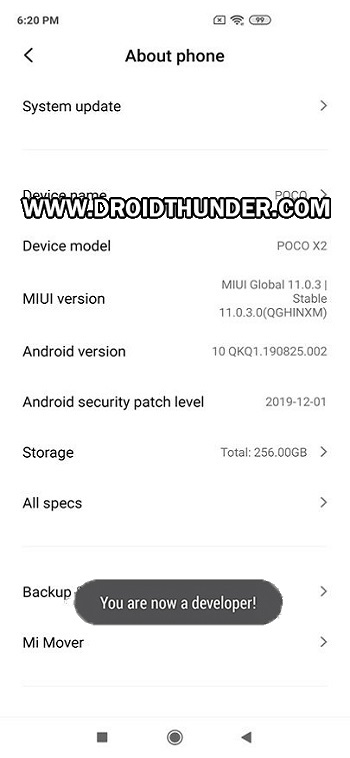 Install TWRP Recovery on Poco X2 you are developer screenshot