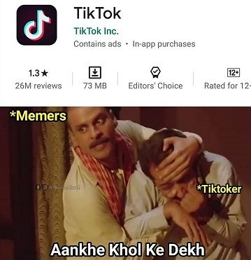TikTok Ratings Memes