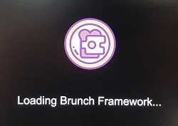 Loading Brunch Framework message before booting into the Chrome OS interface