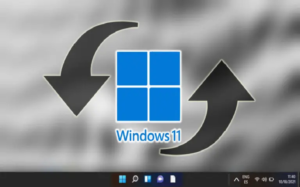 Factory reset Windows 11 PC or Laptop
