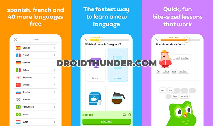 Duolingo Language Lessons app for productivity
