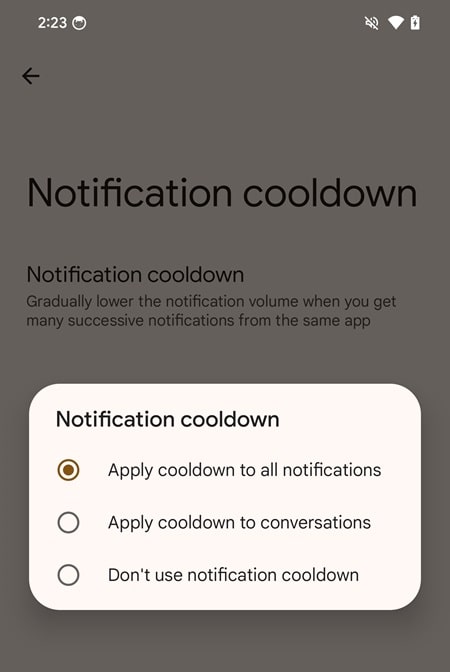 Android 15 features Notification Cooldown